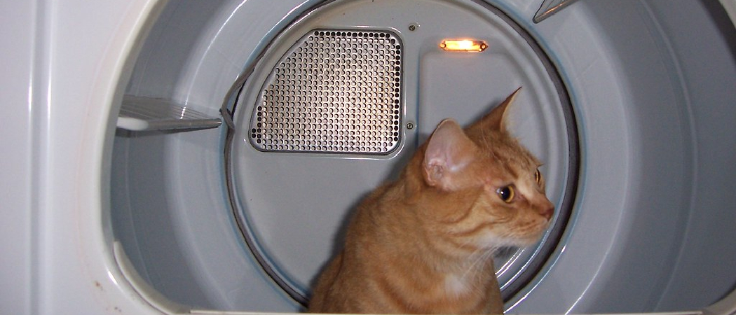 How to Keep Cat from Going behind Washer And Dryer