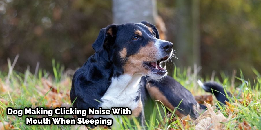 Dog Clicking Sound When Breathing