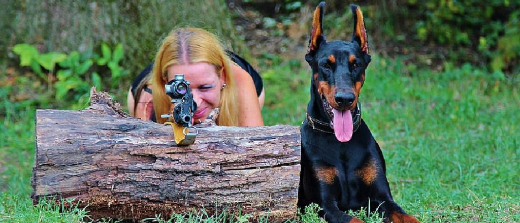Are Dobermans Good Hunting Dogs