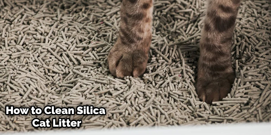 How to Reuse Crystal Cat Litter