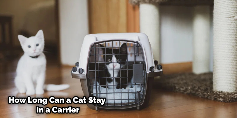 Should I Cover My Cat Carrier With a Blanket