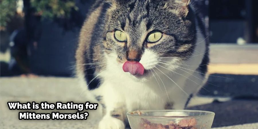 Mittens Morsels Cat Food Review