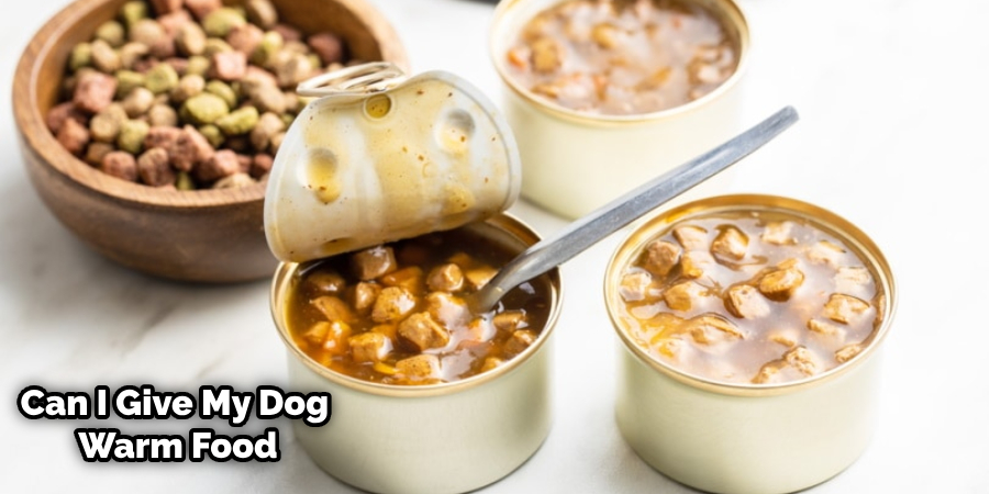 Warming Up Refrigerated Canned Dog Food