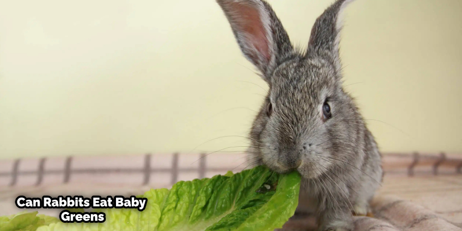 Can Rabbits Eat Tango Lettuce