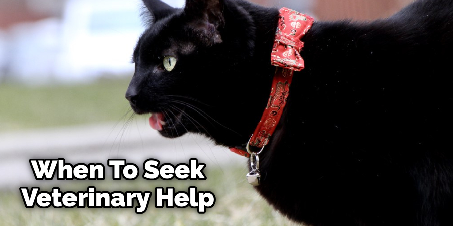 When To Seek Veterinary Help