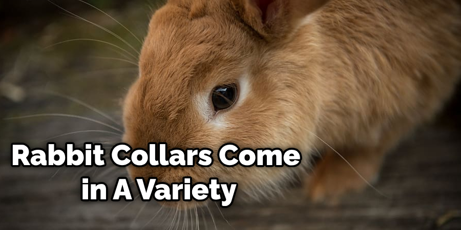Can You Put a Collar on a Bunny